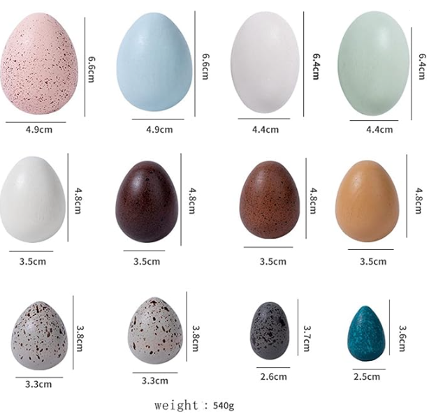 Wooden Bird Egg Set 12pc Sensory