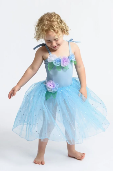 Dress Up - Sugarplum Ballerina Dress Blue Small 1-4yrs Costume
