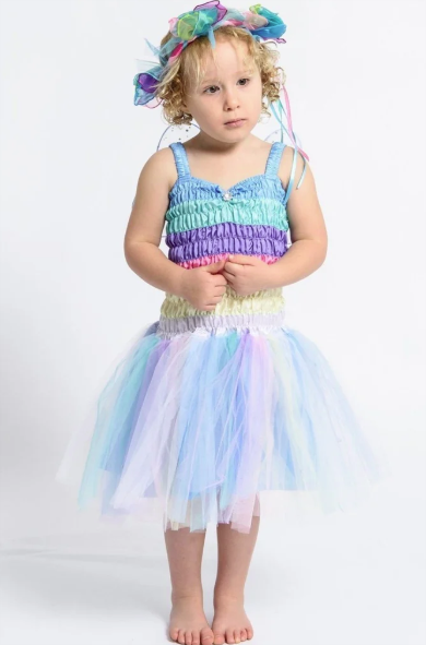 Dress Up Friendship Fairy Dress Pastel Dress Up