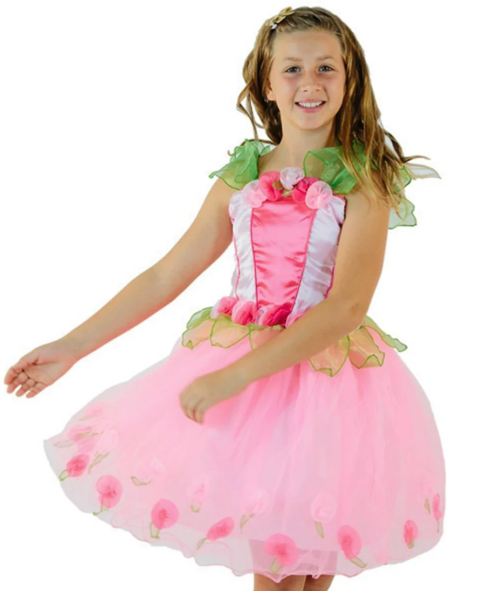 Dress Up - Milly Fairy Dress Large 6-8yrs Costume