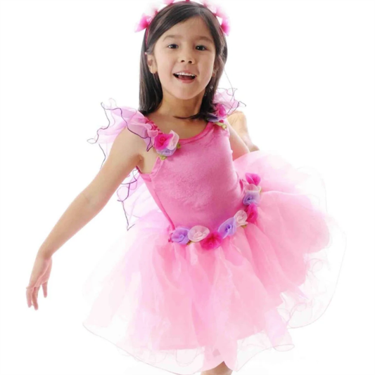 Dress Up Fairylicious Dress Costume