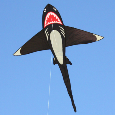 Windspeed Shark Kite kites
