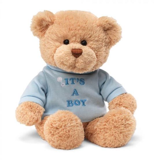 Gund Bear It's A Boy 30cm