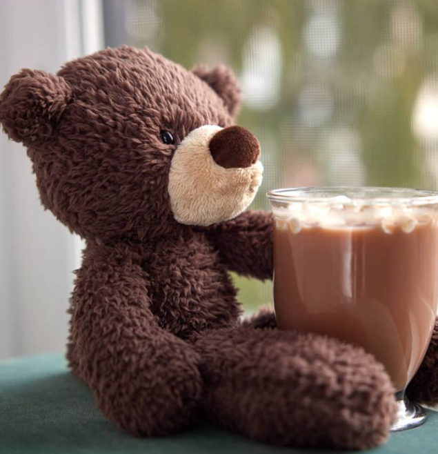 Gund Bear Fuzzy Chocolate 38cm