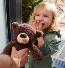 Load image into Gallery viewer, Gund Bear Fuzzy Chocolate 38cm
