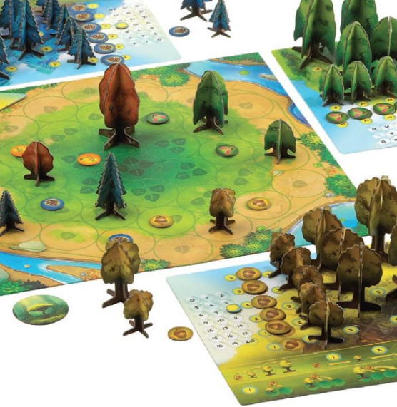 Photosynthesis Board Game