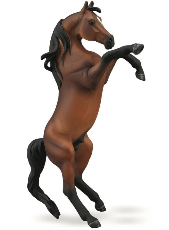 Collecta Stallion Bay Rearing