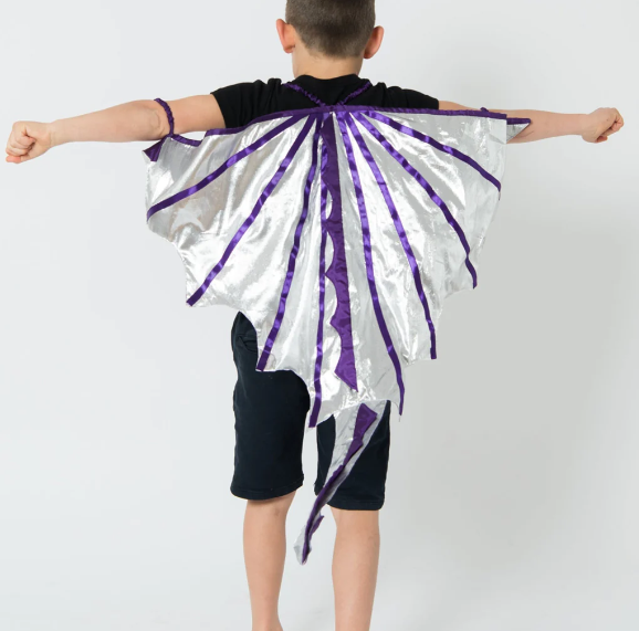 Dress Up Dragon Trainer Cape Costume