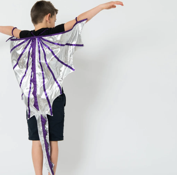 Dress Up Dragon Trainer Cape Costume