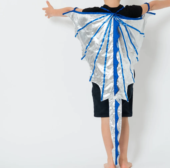 Dress Up Dragon Trainer Cape Costume