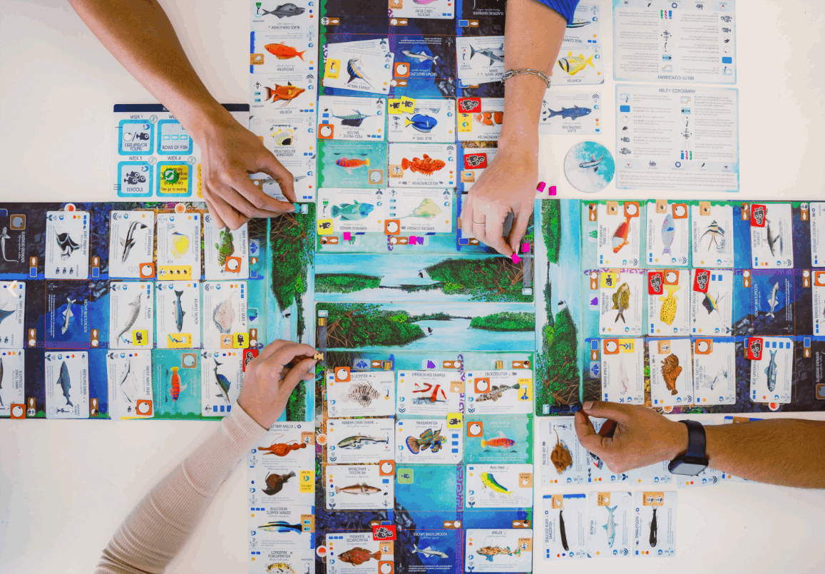 Finspan Board Game