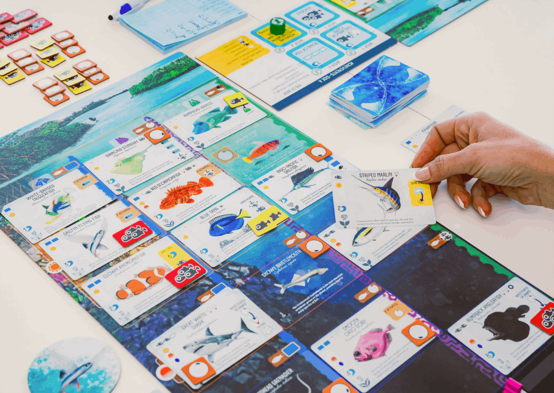 Finspan Board Game
