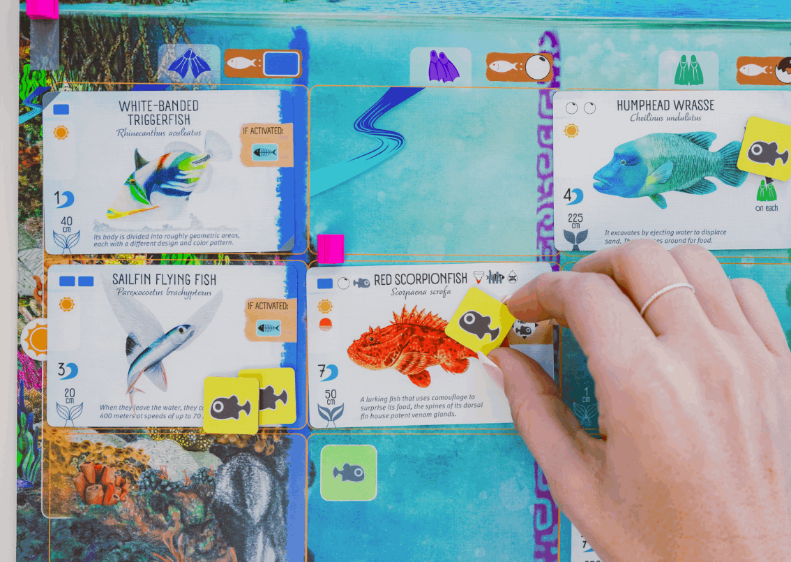 Finspan Board Game