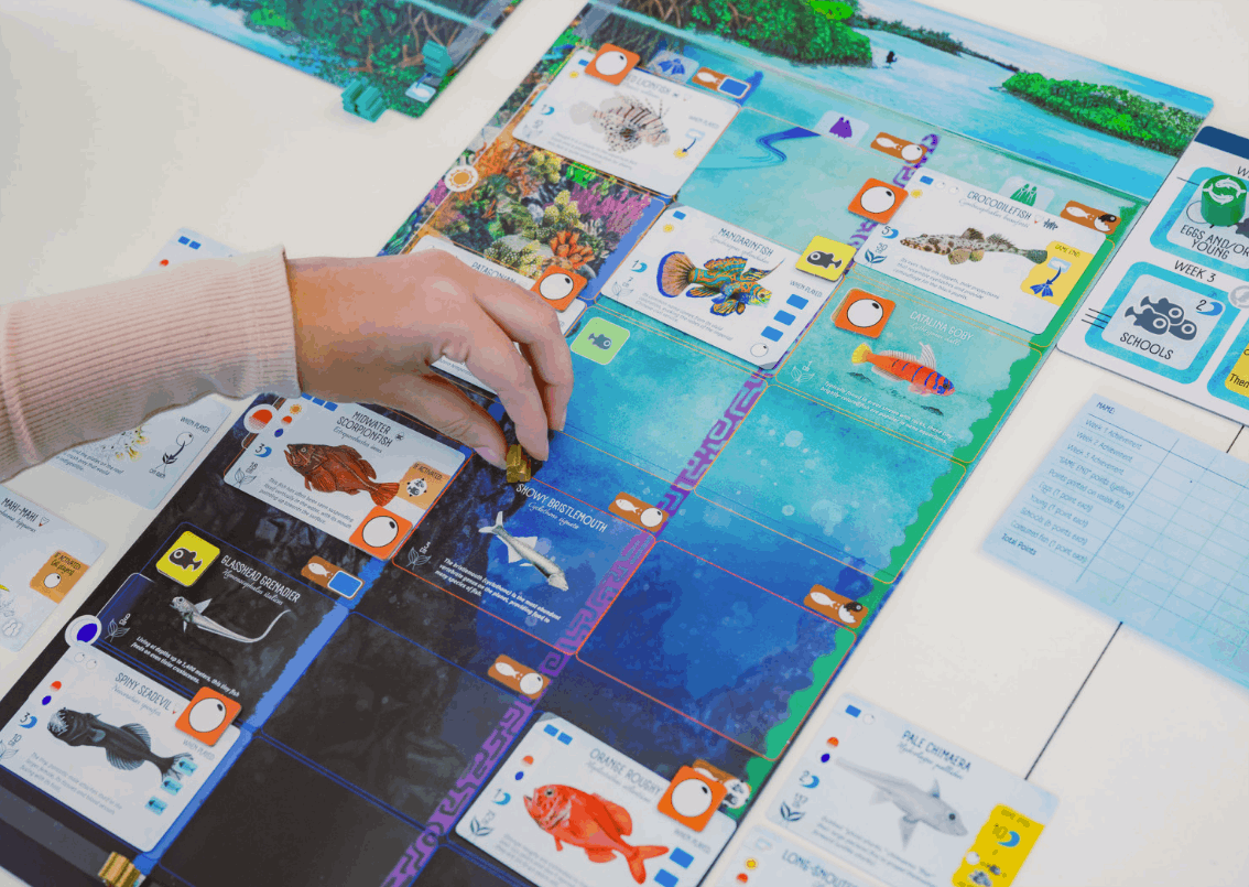 Finspan Board Game