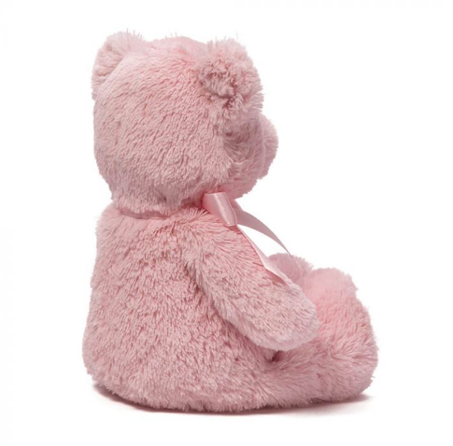 Gund My First Teddy Pink 25cm Baby Toy