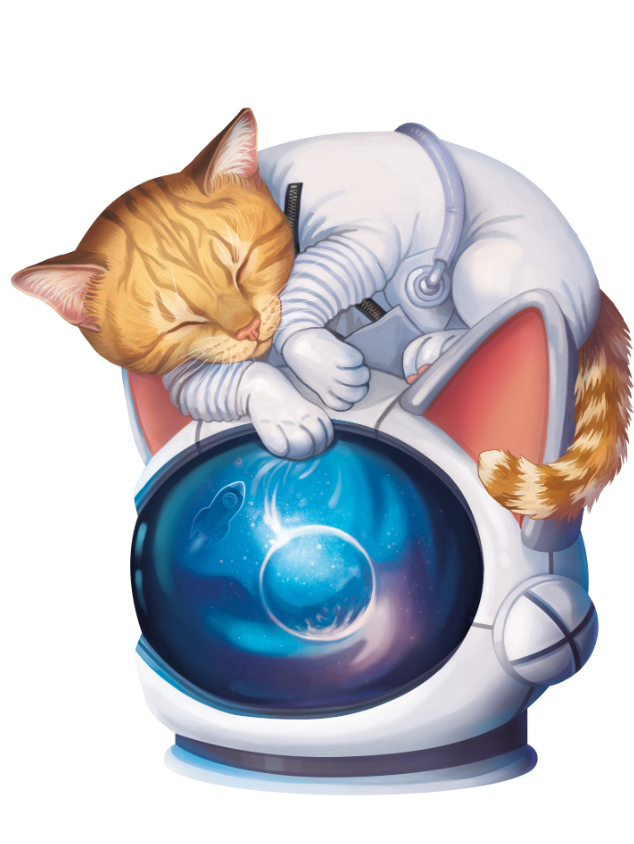 MLEM Space Agency Board Games