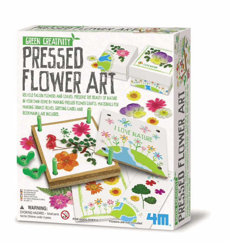 4M Green Science Pressed Flower Art Art & Craft Kits