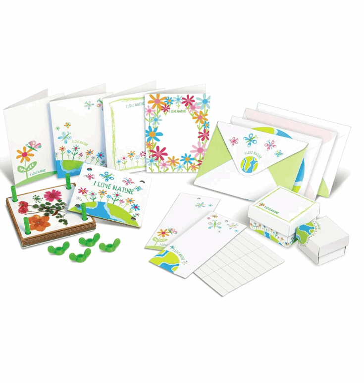 4M Green Science Pressed Flower Art Art & Craft Kits