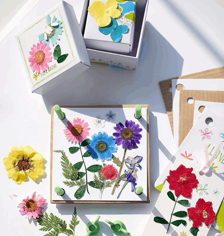 4M Green Science Pressed Flower Art Art & Craft Kits
