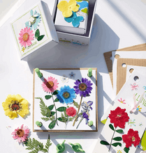 Load image into Gallery viewer, 4M Green Science Pressed Flower Art Art &amp; Craft Kits
