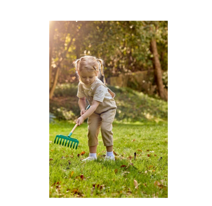 Hape Kids Rake
