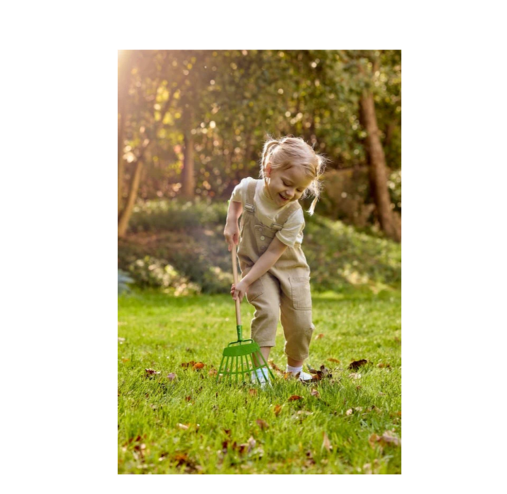 Hape Lawn Rake