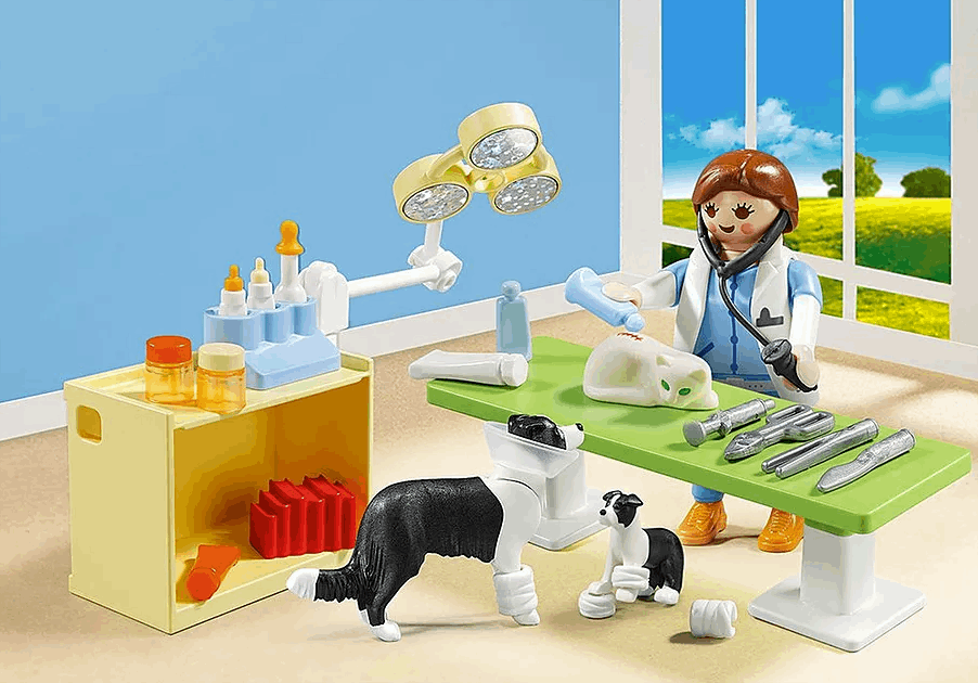 Playmobil Vet Visit Carry Case playset