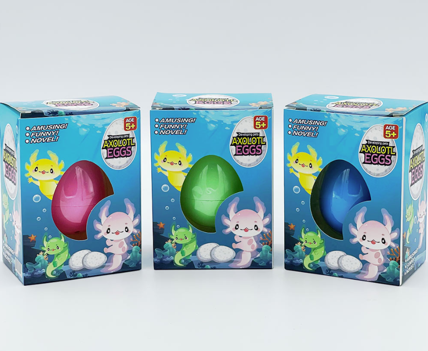 Growing Pet Axolotl Egg