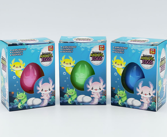 Growing Pet Axolotl Egg