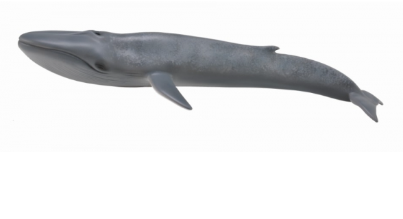 Collecta Blue Whale