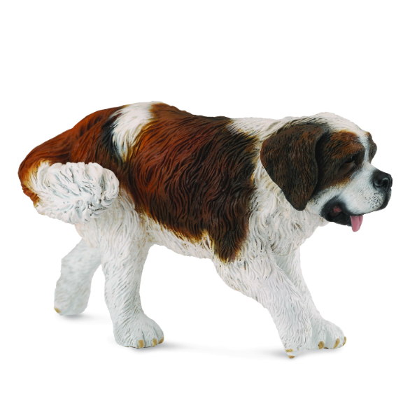 Collecta St Bernard