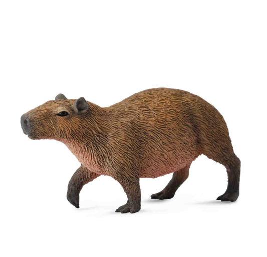 Collecta Capybara