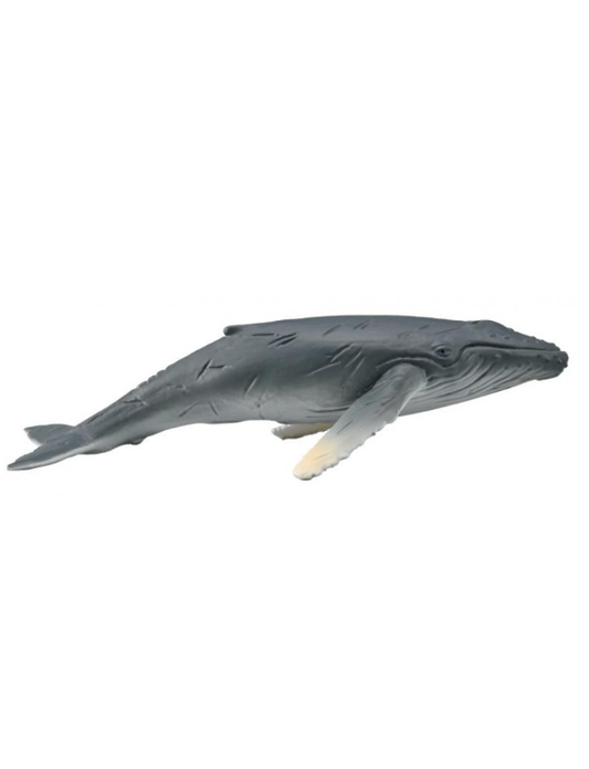 Collecta Humpback Whale Calf