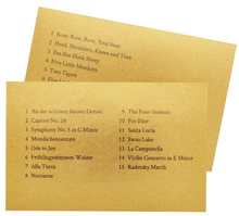 Load image into Gallery viewer, Hape Tune Time Phonograph
