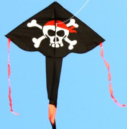 Windspeed Pirate Delta Kite Kites