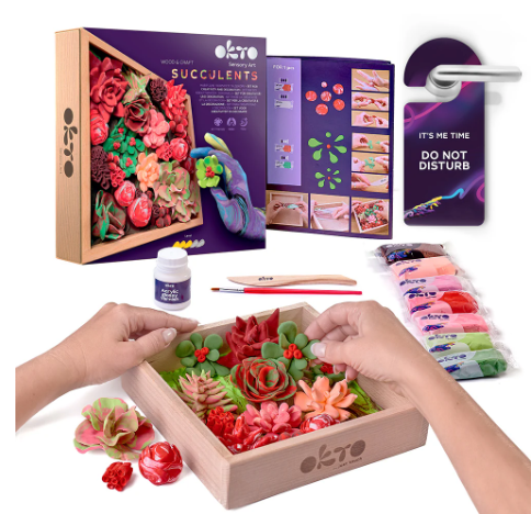 Okto Wood & Craft DIY Succulents Passion Art & Craft