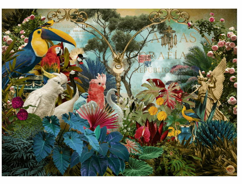 Fauna Fantasies Birdiversity 1000pc Heye Puzzle