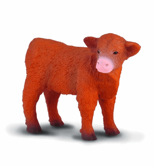 Collecta Highland Calf Standing
