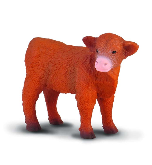 Collecta Highland Calf Standing