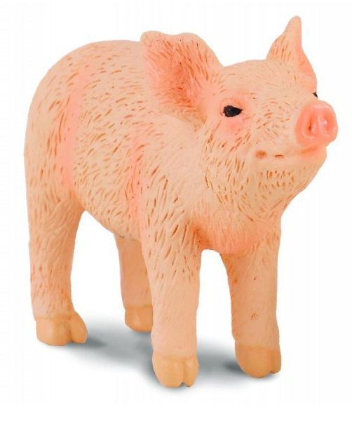 Collecta Piglet Standing Smelling