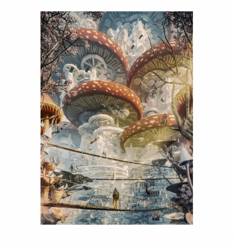 Future Cities Shroomland 1000pc Heye Puzzle