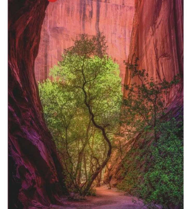 Power of Nature Singing Canyon 1000pc Heye Puzzle