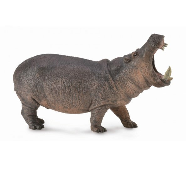 Collecta Hippopotamus Figurine