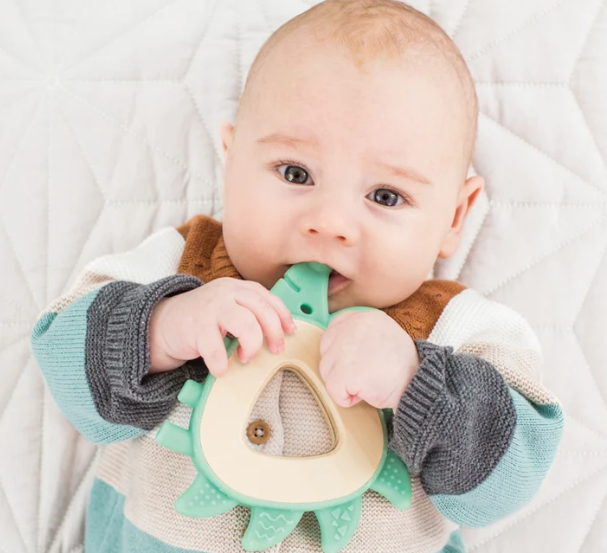 Hape Hedgehog Teether FSC 100%