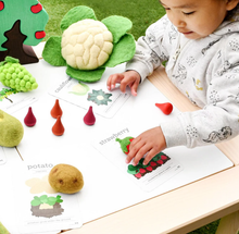 Load image into Gallery viewer, Tara Treasures Felt Cauliflower
