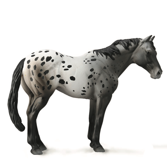 Collecta Appaloosa Blue Roan ( XL) figurine