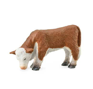 Collecta Hereford Calf Grazing figurine