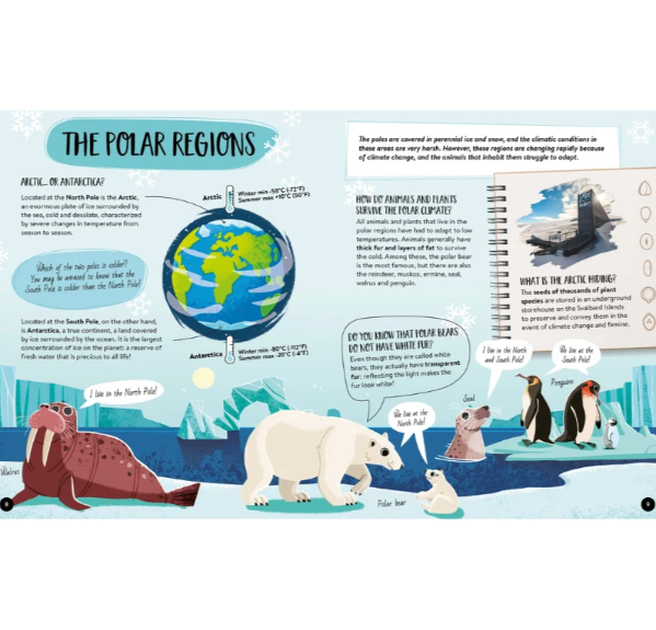 Sassi What How and Why Earth Book and Poster
