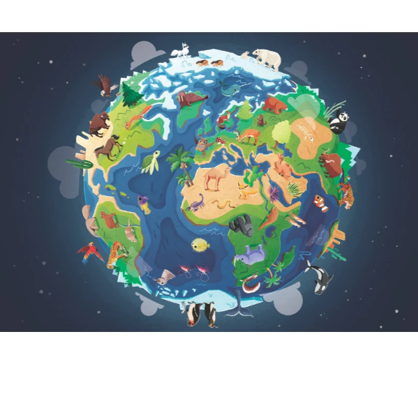 Sassi What How and Why Earth Book and Poster