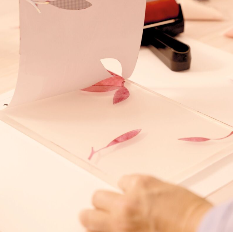 Djeco Atelier 46 Citrus Gel Printing Kit